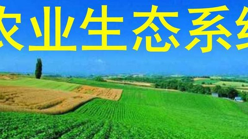 云南花卉种植病虫害防治：注意事项与科学方法