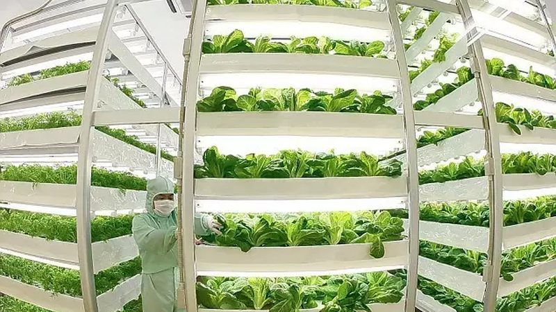 生鲜冷链物流报价里的隐形账本