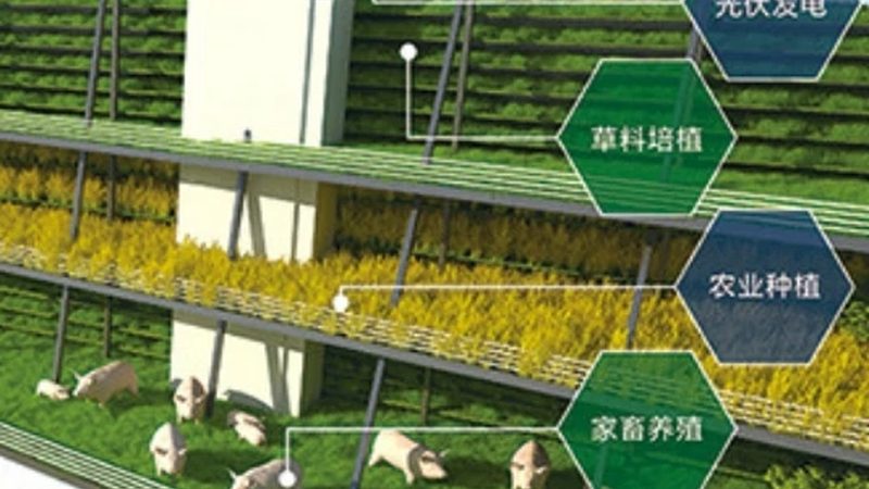 农旅融合项目，政府补贴政策知多少？**