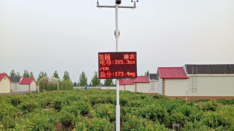 有机蔬菜家庭种植方法教程：从土壤到餐桌的绿色之旅