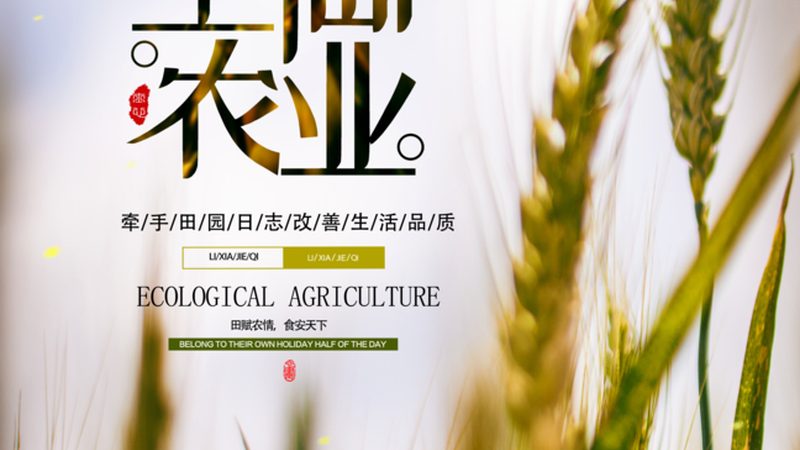 农业种植技术学习的路径与关键步骤